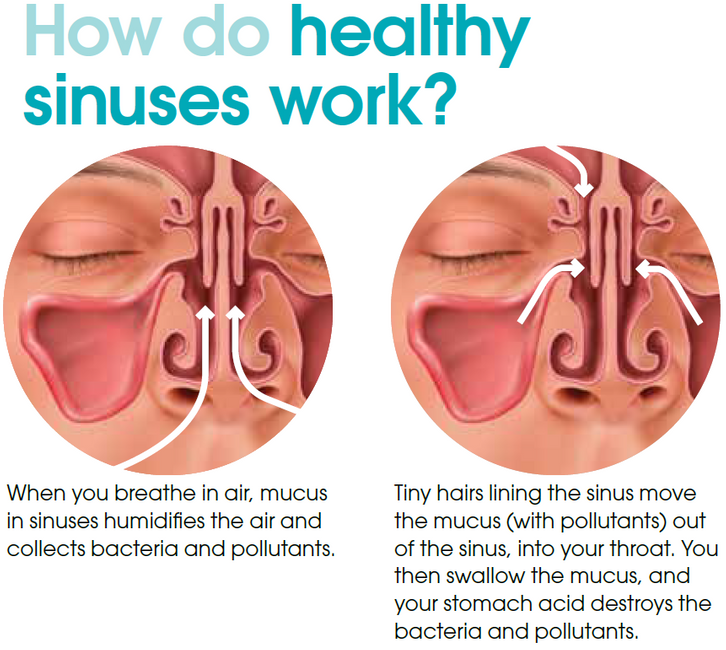 North texas sinus, p.a.